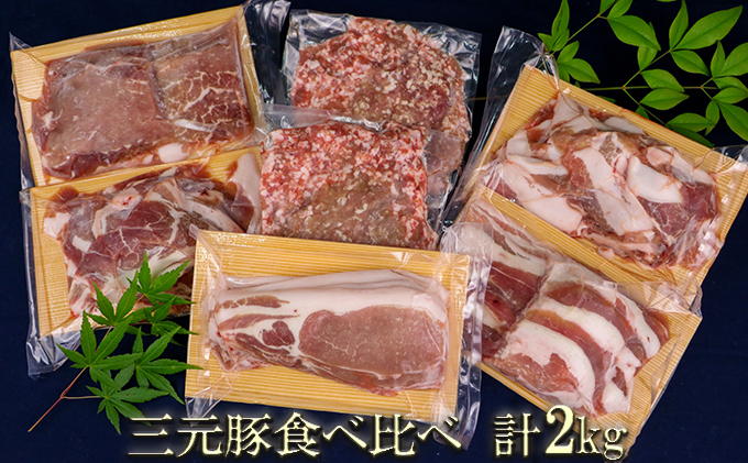 宮城県涌谷町のふるさと納税 涌谷町産三元豚食べ比べセット 2kg