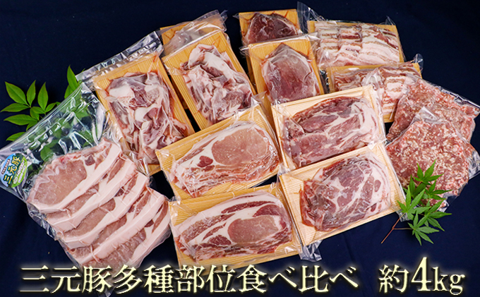 宮城県涌谷町のふるさと納税 涌谷町産三元豚多種部位食べ比べセット 約4kg