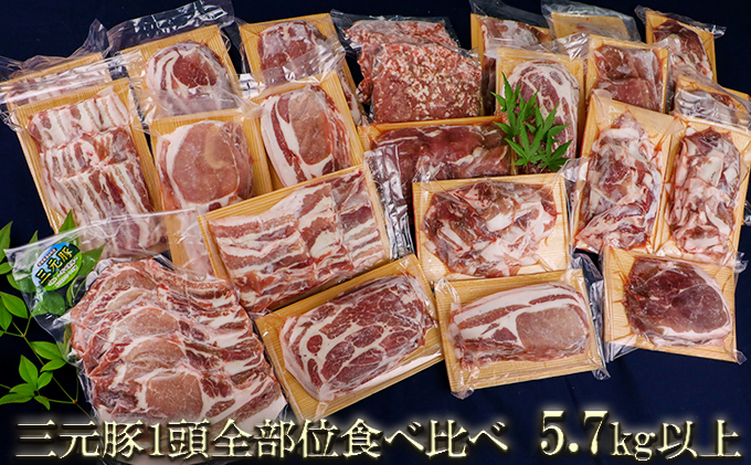 宮城県涌谷町のふるさと納税 涌谷町産三元豚1頭全部位食べ比べセット 5.7kg以上