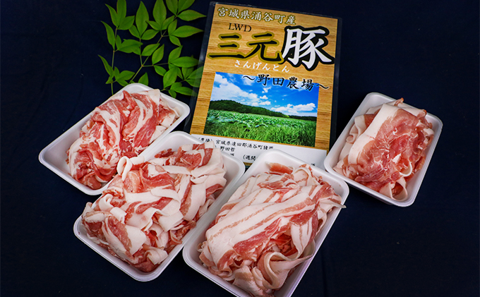 宮城県涌谷町のふるさと納税 涌谷町産三元豚食べ比べセット 2kg