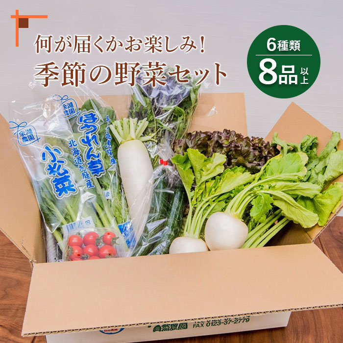北海道産季節の野菜詰め合わせ 6種類8品 [310005]