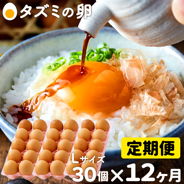 兵庫県市川町のふるさと納税 060AB01N.タズミの卵Ｌサイズ（30個×12ヶ月）