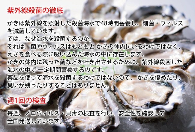 北海道厚岸町のふるさと納税 牡蠣 厚岸産 殻かき  あさり セット