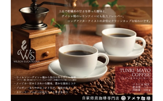 秋田県男鹿市のふるさと納税 幻のコーヒー「トゥンキマヨ」（豆100g×2）