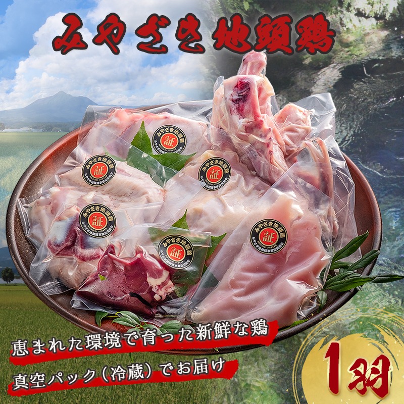 みやざき地頭鶏1羽セット_MJ-E602 / 宮崎県都城市 | セゾンの