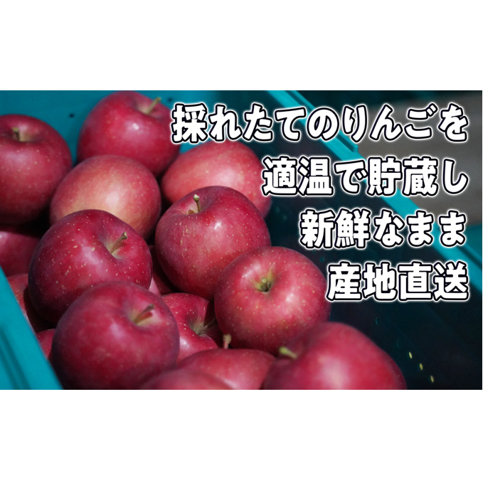 8～12月発送【家庭用】旬のリンゴ詰め合わせ 約5kg 糖度13度以上【弘前市産・青森りんご】: 青森県弘前市｜JRE MALLふるさと納税