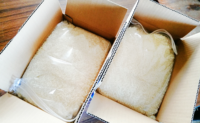 香川県東かがわ市のふるさと納税 令和4年 コシヒカリ新米！（精米16kg）4kg×4箱