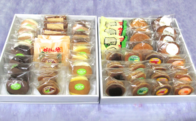 北海道佐呂間町のふるさと納税 焼菓子詰合せ「湖」 13種56個前後【弘内菓子舗】 北海道 オホーツク 佐呂間町 クッキー チョコ パイ 餡 菓子 スイーツ セット