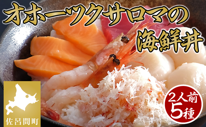 北海道佐呂間町のふるさと納税 なまら美味い！これがサロマの海鮮丼！5種（2人用）