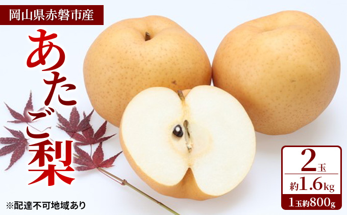 梨 2024年 先行予約 あたご梨 2玉 約1.6kg（1玉約800g）岡山県 赤磐市産【配達不可：離島】 なし フルーツ 果物