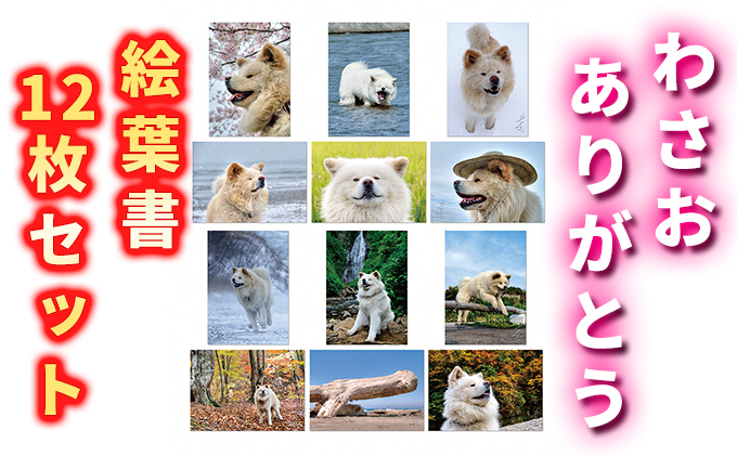 yX˃򒬁z킳 肪Ƃ Gt12Zbg LN^[ ʐ^ ͂