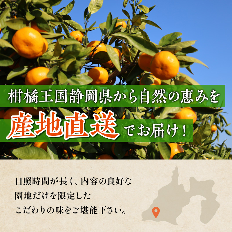 静岡県浜松市のふるさと納税 名匠の蜜柑