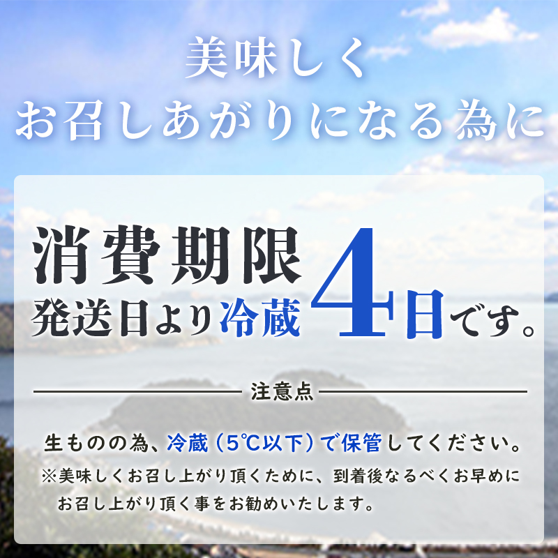 兵庫県赤穂市のふるさと納税 牡蠣 生食 坂越かき むき身 500g×2(サムライオイスター) 生牡蠣 冬牡蠣