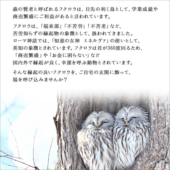 533.木製名入れ 手作り 表札 ふくろう(夫婦)大サイズ 北海道 533.木製名入れ 手作り 表札 ふくろう(夫婦)大サイズ 北海道