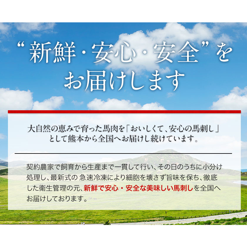 国産 馬刺し4種盛ファミリーセット 300g (上赤身100g/フタエゴ50g/コウネ50g/ユッケ100g)醤油3袋/生姜3袋/ユッケたれ 御船屋《90日以内に順次出荷(土日祝除く)》  / 熊本県御船町 | セゾンのふるさと納税