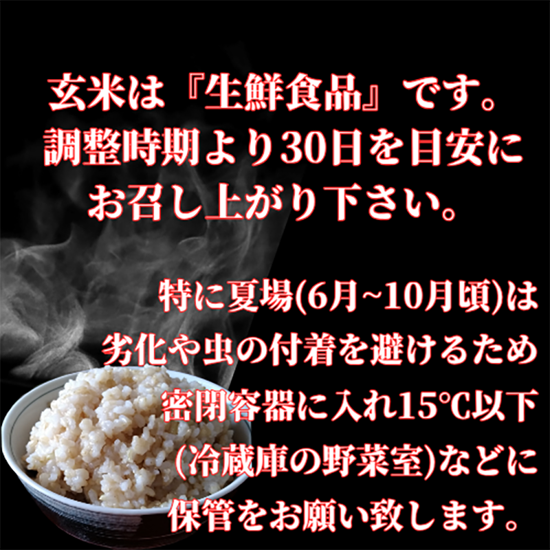 CI980_【玄米】さがびより3kg 【五つ星お米マイスター厳選 CI980_【玄米】さがびより3kg 【五つ星お米マイスター厳選