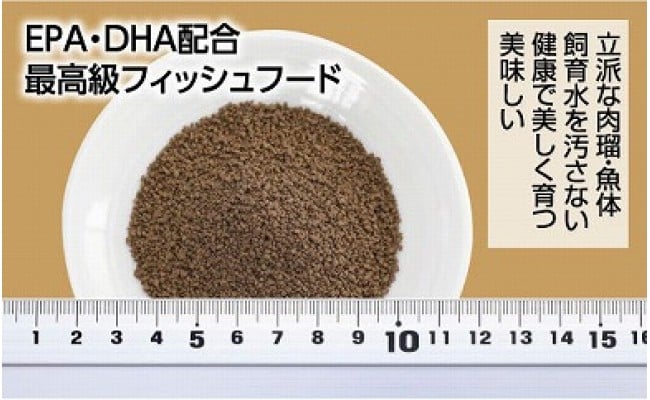 らんちう貴族C 120g 当歳魚用 ＜最高級 フィッシュフード EPA・DHA配合