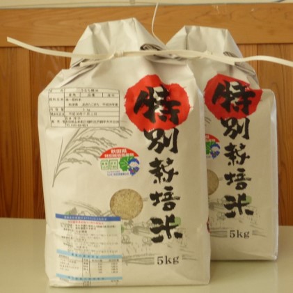 秋田県三種町のふるさと納税 洋子の 特別栽培米 あきたこまち 5kg×2袋 精米 （合計：10kg）