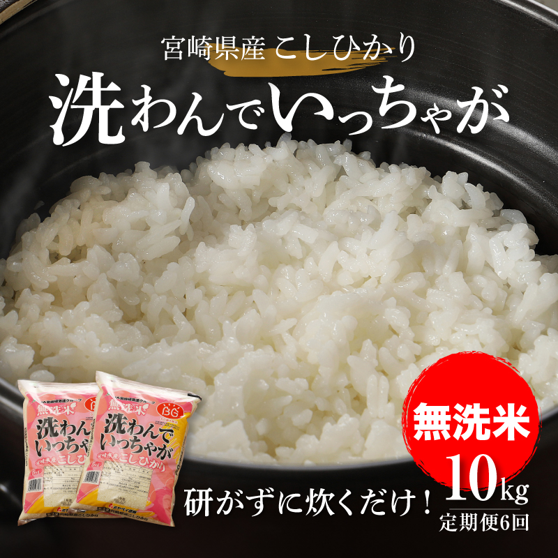 希少稀な 無洗米コシヒカリ 計60kg 洗わんでいっちゃが10kg✕6回定期便 米・雑穀・粉類