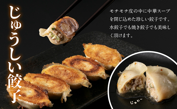 ふるさと納税 美濃加茂市 こだわりの餃子 食べ比べセット 全105個 超話題新作