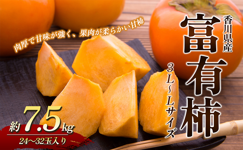 香川県東かがわ市のふるさと納税 富有柿 約7.5kg