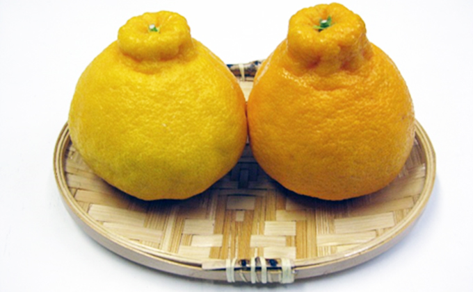 ハウスデコポン（小玉）約5kg（香川県東かがわ市）　ふるさと納税サイト「ふるさとプレミアム」