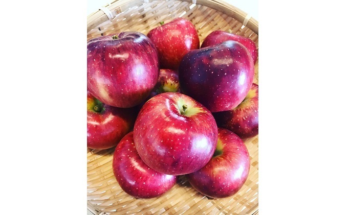 梨・リンゴのこだわりジュースセット（3本） 梨ジュース りんごジュース ストレート 100% 魚津 富山（富山県魚津市） ふるさと納税サイト「 ふるさとプレミアム」