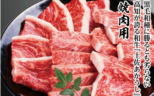 高知県田野町のふるさと納税 「土佐あかうし」焼肉用1kgと特製万能タレのセット