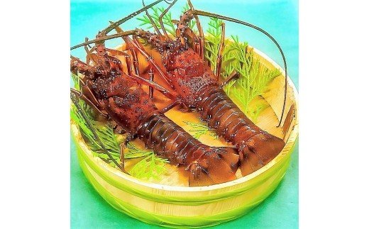 【三重県鳥羽市】L-31冷凍伊勢海老(3〜4尾)700g