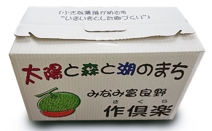 北海道南富良野町のふるさと納税 南ふらの産赤肉メロン1.6kg×2玉《作倶楽》