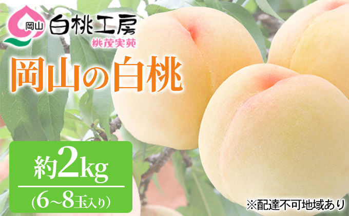 桃 2024年 先行予約 白桃 2kg 6～8玉 もも モモ 岡山 国産 フルーツ 果物 ギフト 桃茂実苑 