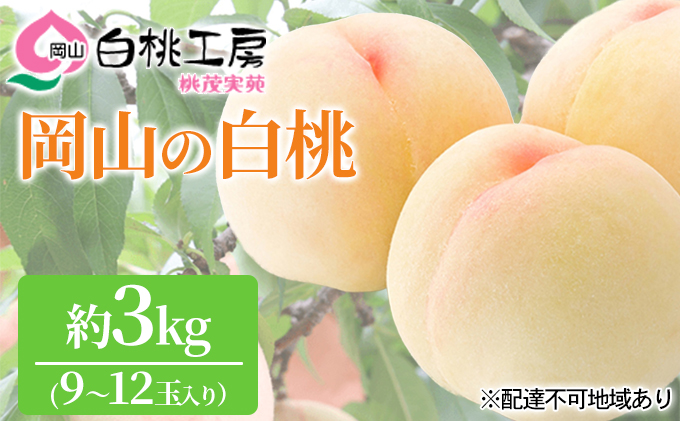 桃 2024年 先行予約 白桃 3kg 9～12玉 もも モモ 岡山 国産 フルーツ 果物 ギフト 桃茂実苑 