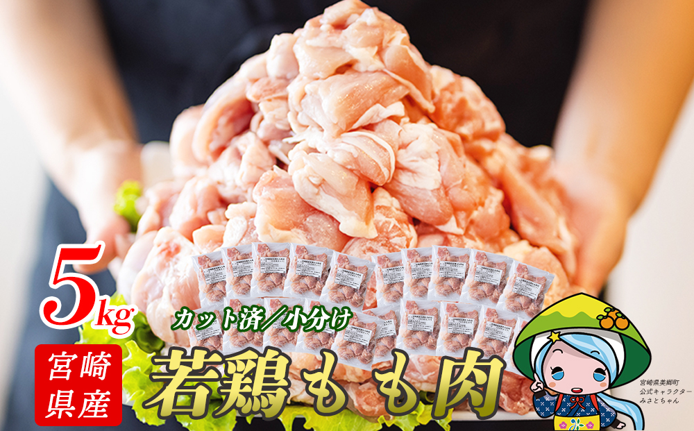 宮崎県産若鶏もも切身　ほぐれやすくて便利な小分け22袋セット　合計5.5kg