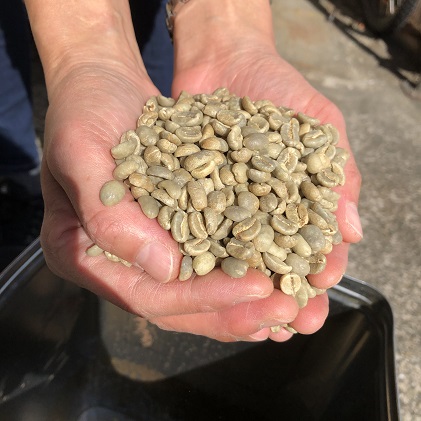 粉】天空のコロンビア500g 自家焙煎コーヒーとみかわ 富山 魚津（富山