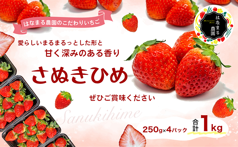 はなまる農園のこだわりいちご【さぬきひめ】1kg（香川県東かがわ市） | ふるさと納税サイト「ふるさとプレミアム」