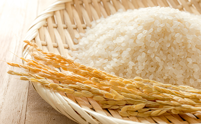 JAきょうわ米  ななつぼし5kg