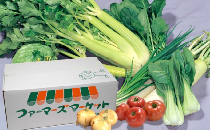浜松産の野菜詰め合わせボックス【配送不可：離島】　静岡県浜松市　セゾンのふるさと納税
