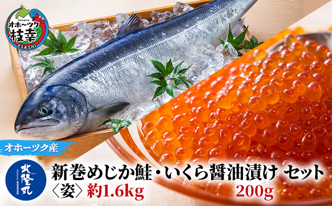 北隆丸 新巻めじか鮭〈姿〉約1.6kg・いくら醤油漬け200gセット