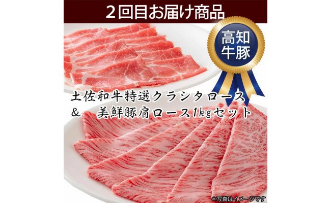 高知県芸西村のふるさと納税 定期便 肉 お楽しみ 南国土佐のお肉満腹３ヶ月コース