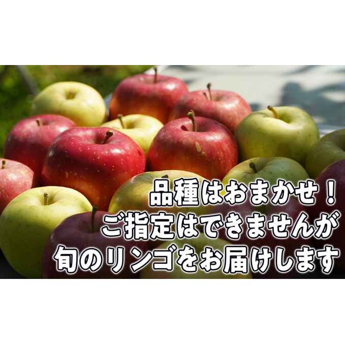 8～12月発送【家庭用】旬のリンゴ詰め合わせ 約5kg 糖度13度以上【弘前市産・青森りんご】: 青森県弘前市｜JRE MALLふるさと納税