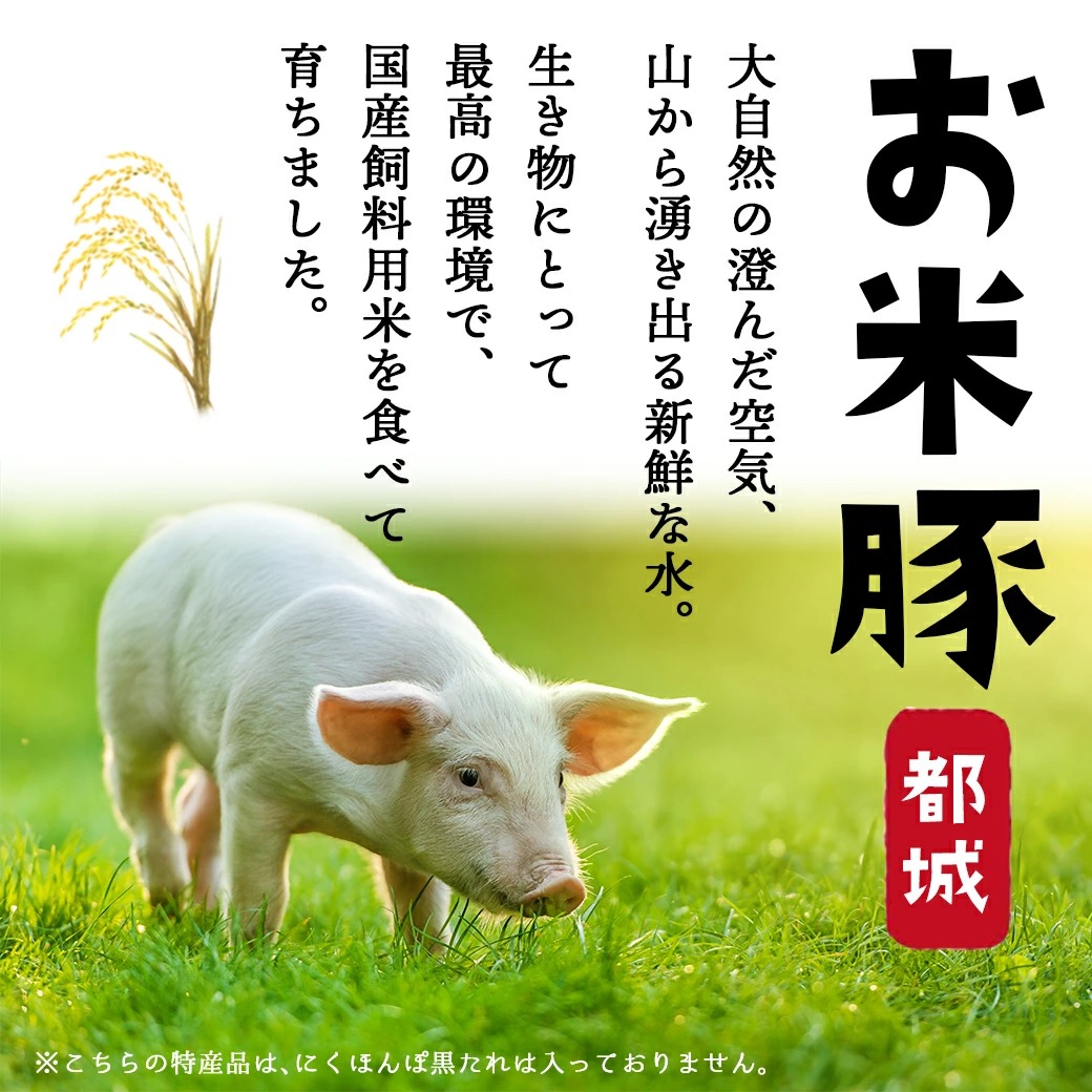 宮崎県都城市のふるさと納税 お米豚3.7kgセット_17-3101