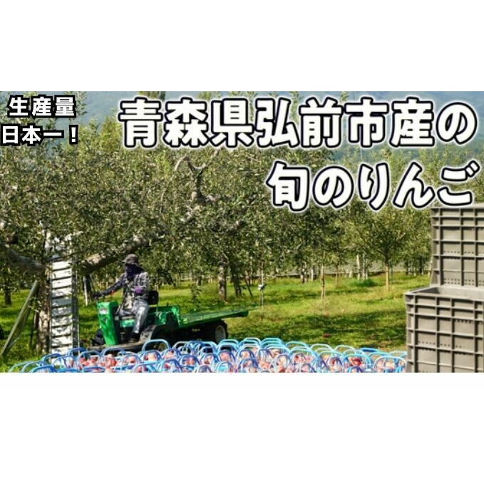 8～12月発送【家庭用】旬のリンゴ詰め合わせ 約5kg 糖度13度以上【弘前市産・青森りんご】: 青森県弘前市｜JRE MALLふるさと納税