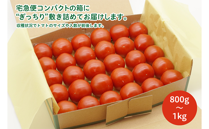 兵庫県加西市　中玉トマト　よしよし畑のあま～い　800g～1kg程度　トマト　セゾンのふるさと納税