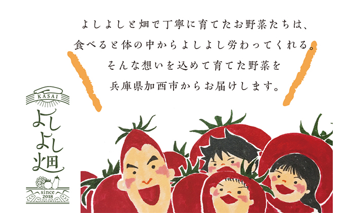 兵庫県加西市　中玉トマト　よしよし畑のあま～い　800g～1kg程度　トマト　セゾンのふるさと納税