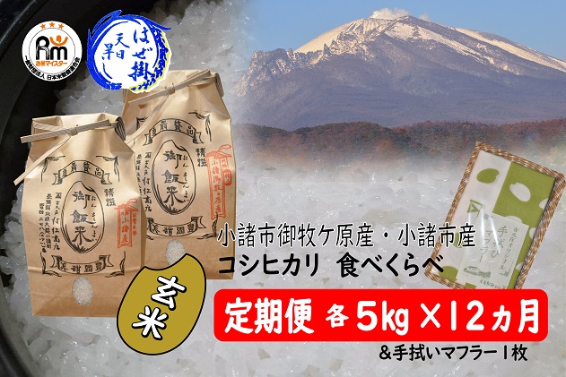 ふるさと納税 小諸市 つきたて米　小諸産こしひかり 30kg(10kg×3袋)
