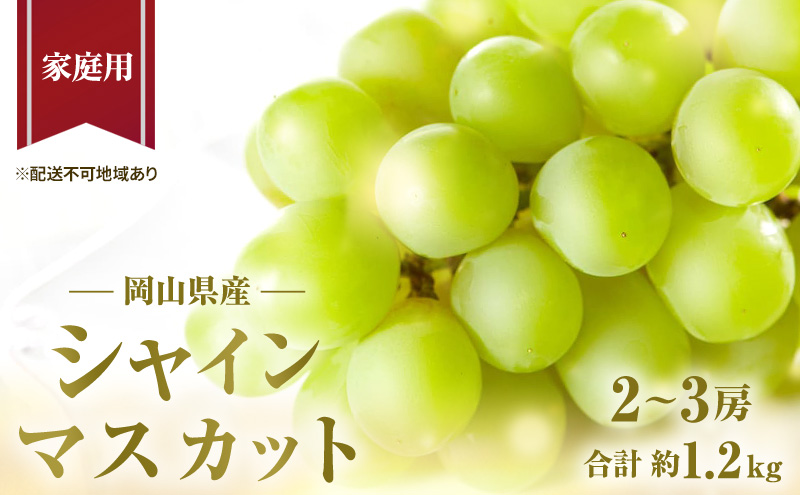 合計約1.2kg　岡山県玉野市　ぶどう　2024年　葡萄　岡山県産　2～3房　先行予約　ご家庭用　ギフト　シャイン　マスカット　ブドウ　果物　国産　フルーツ　セゾンのふるさと納税