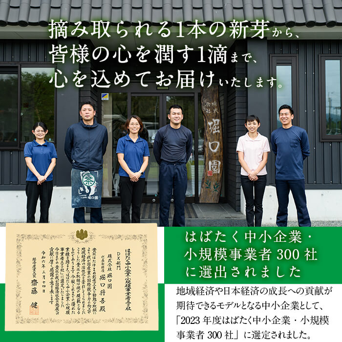 a0-132 鹿児島県志布志生まれの抹茶 さつまっちゃ 業務用500g(小分け用缶付き)|株式会社堀口園