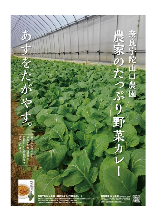 奈良県宇陀市のふるさと納税 農家のたっぷり野菜カレー　１０個／山口農園 有機野菜 オーガニック 伝統野菜 レトルト 詰め合わせ カレー ギフト カレーセット スパイス 飯 キャンプお取り寄せ 奈良県 宇陀市 送料無料 おかず ご当地 簡単 お歳暮 暑中見舞い 保存 時短 国産 保存食野菜