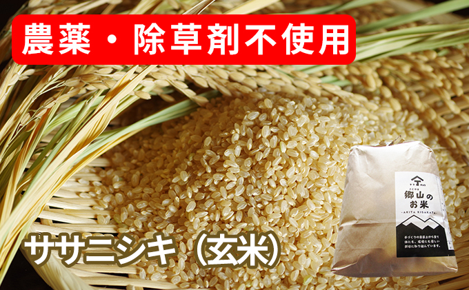 秋田県にかほ市　農薬・除草剤不使用で栽培したササニシキ「郷山のお米　セゾンのふるさと納税　20kg」（5kg×4袋　玄米）
