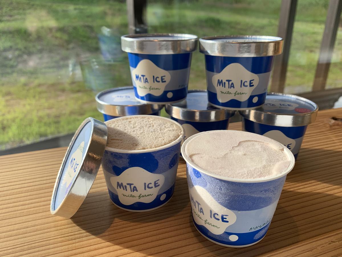 北海道共和町のふるさと納税 三田牧場　特製アイスクリーム10個セット